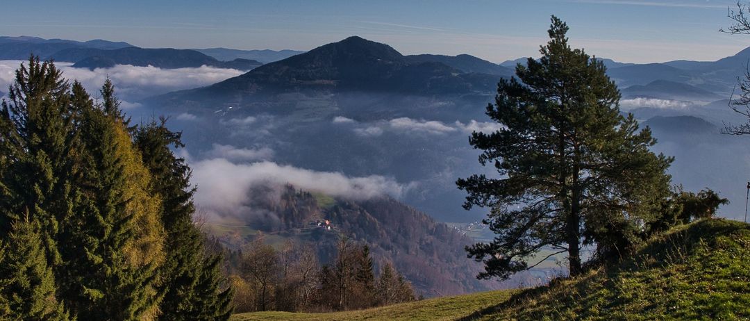 Ein Hügelblick mit einem nebligen Tal, Bergen und Bäumen unter einem klaren blauen Himmel.