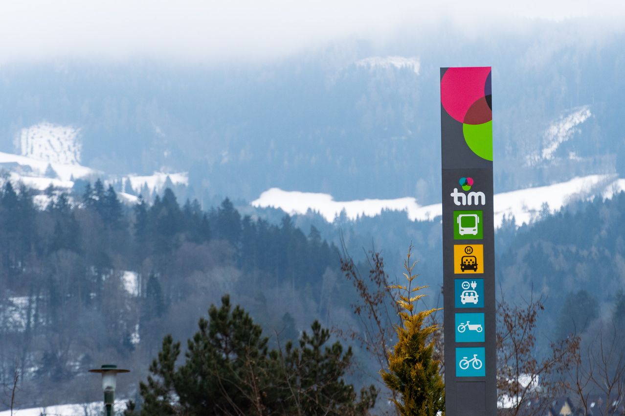 A signpost with TIM logo and transport icons stands near a pine tree in a misty, snowy mountainous area.