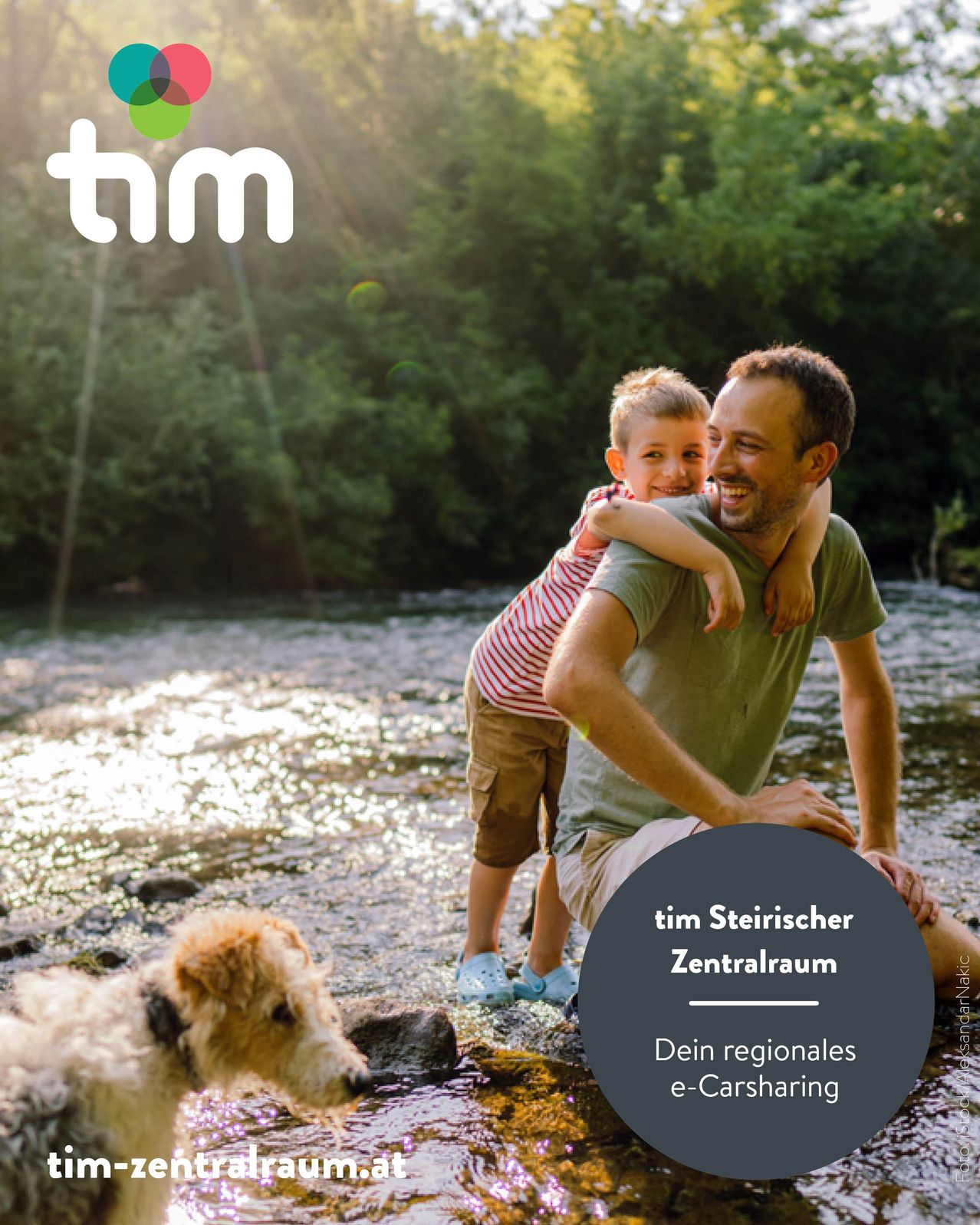 Ein Mann und ein Junge sitzen lächelnd auf einem Felsen am Flussufer. Ein Hund ist in der Nähe. Der Markenname 'tim' und die Worte 'Zentralraum' und 'Dein regionales e-Carsharing' sind sichtbar.