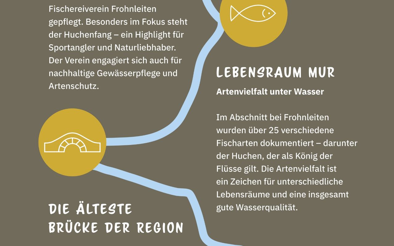 A section of the Fronhleiten river showcases over 25 fish species, notably the huchen, symbolizing excellent water quality. The Fronhleiten river is also a fishing hotspot and promotes water conservation.