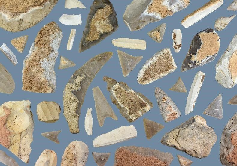 A collection of various stones and rock fragments are displayed against a blue background. The stones exhibit diverse shapes, sizes, and colors, including brown, gray, and white. Some stones appear weathered, while others show sharp edges.