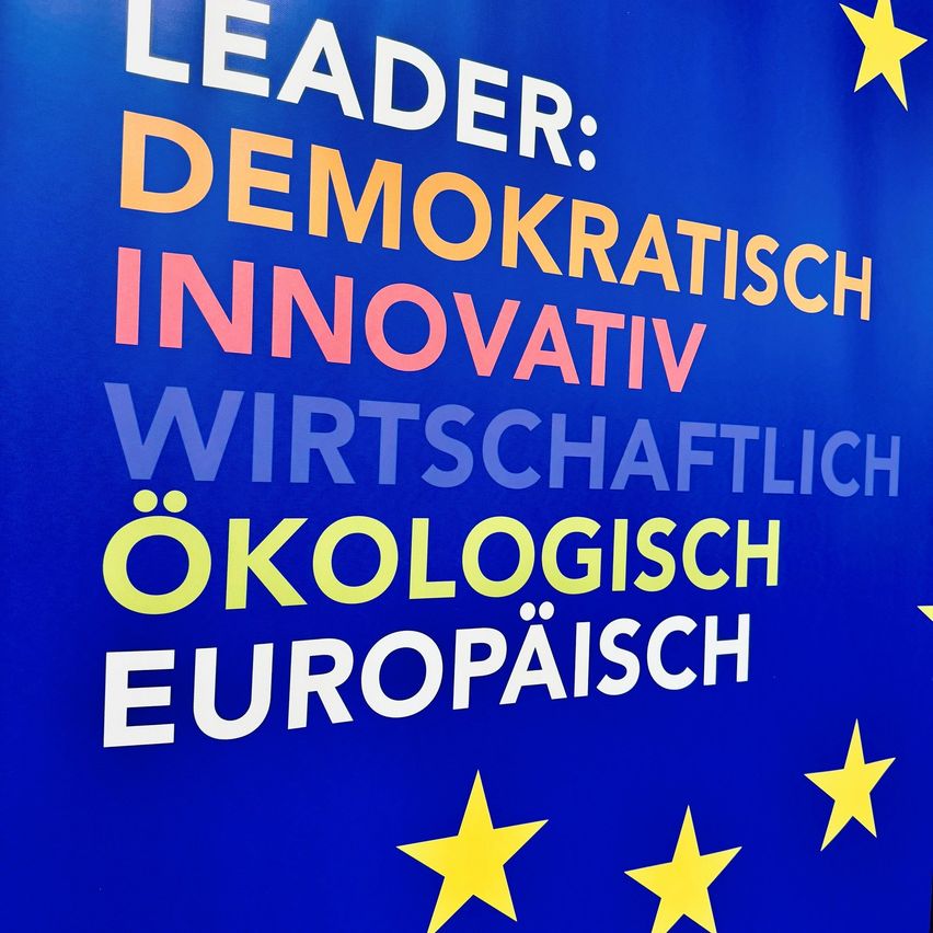 Ein blauer Banner zeigt 'LEADER: DEMOKRATISCH INNOVATIVE WIRTSCHAFTLICH ÖKOLOGISCH EUROPÄISCH'. Fünf gelbe Sterne sind in der oberen rechten und unteren Ecke angeordnet.