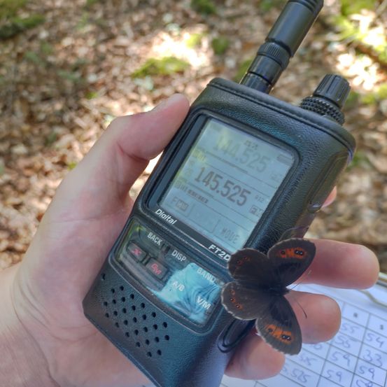 Eine Person hält ein schwarzes Funkgerät mit einem Schmetterling darauf. Der Bildschirm zeigt eine Frequenz von 145,525 an.