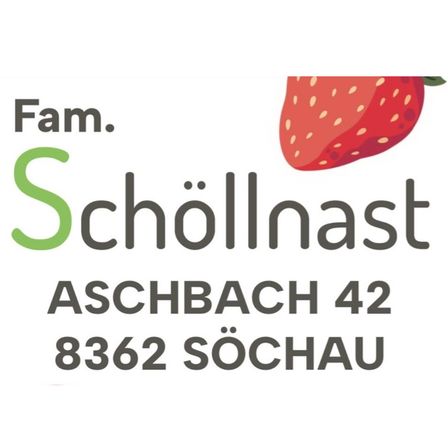 Das Logo von Fam. Schöllnast, mit einer Erdbeere und ihrer Adresse: ASCHBACH 42, 8362 Söchau.