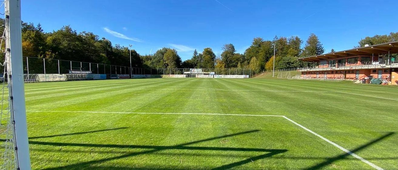 Ein leerer Fußballplatz mit saftig grünem Gras und weißen Begrenzungslinien unter einem klaren blauen Himmel mit Bäumen am Horizont.