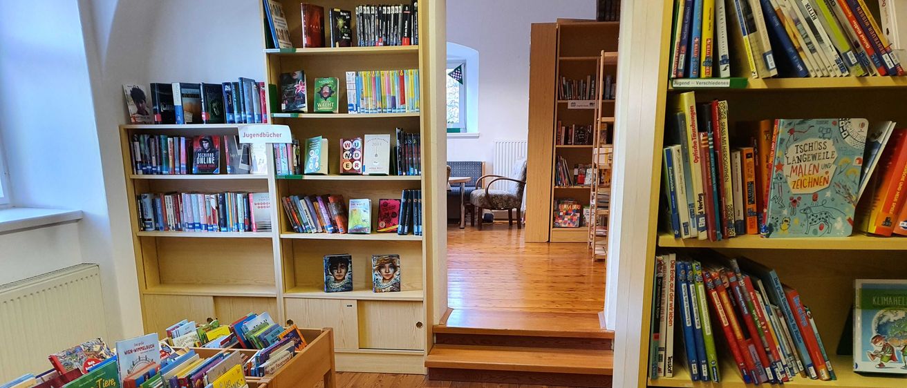 Bild enthält, Furniture, Bookcase, Book, Publication, Wood, Person, Hardwood, Library, Stained Wood