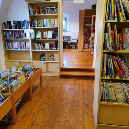 Bild enthält, Furniture, Bookcase, Book, Publication, Wood, Person, Hardwood, Library, Stained Wood