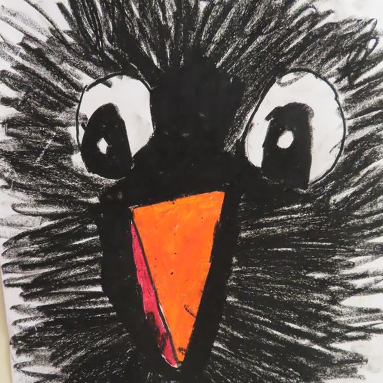 Ein Nahaufnahme-Zeichnung eines Vogelkopfes mit großen Augen und einem orangefarbenen Schnabel. Die Zeichnung ist in Schwarz, Weiß und Orange.
