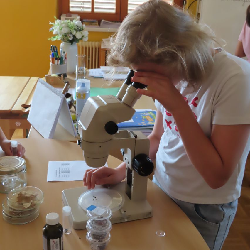 Ein junges Mädchen mit blonden Haaren schaut durch ein Mikroskop auf etwas auf einem Tisch mit verschiedenen Gegenständen.