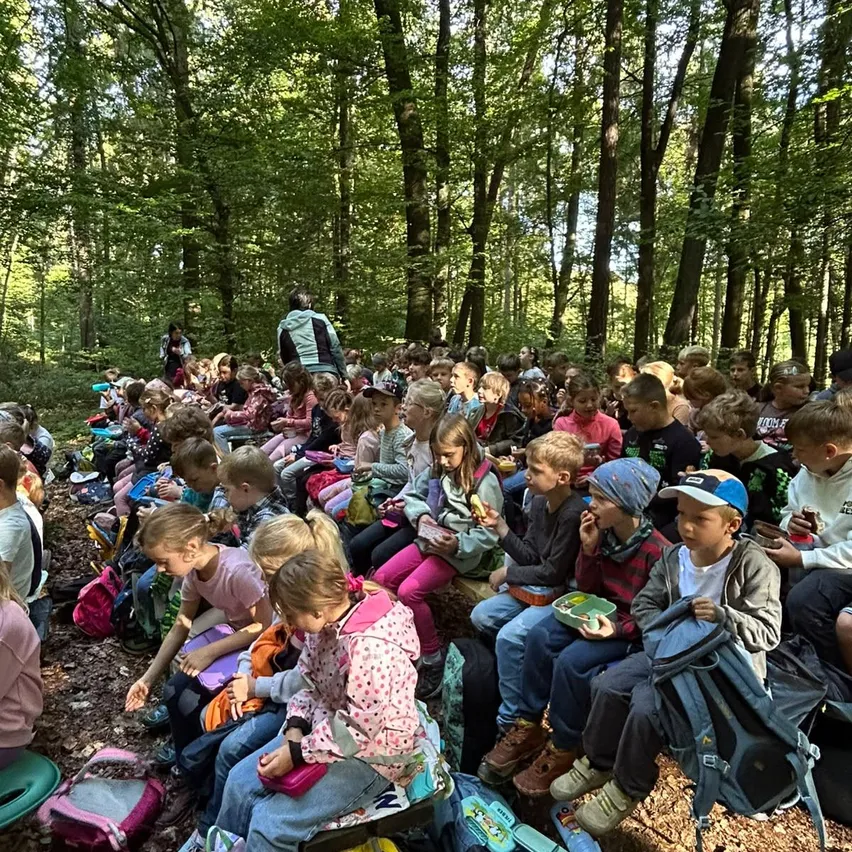 Eine Gruppe von Kindern sitzt auf Baumstümpfen im Wald und isst Snacks. Einige tragen Rucksäcke und Mützen. Erwachsene sind anwesend, und das Gebiet ist von Bäumen umgeben.