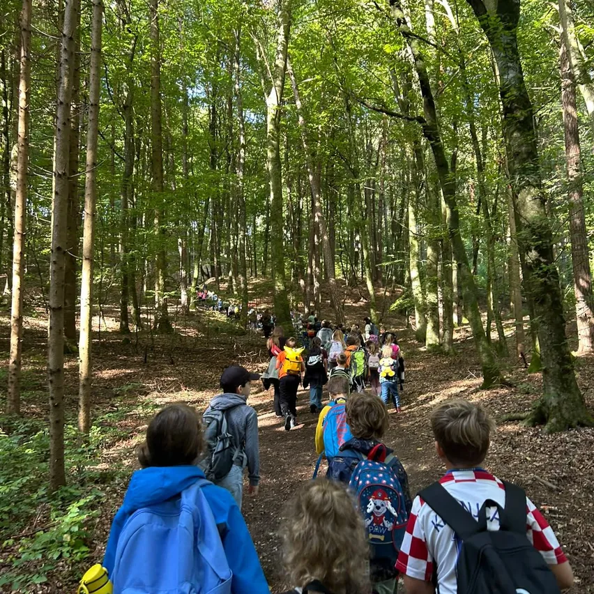 Eine Gruppe von Kindern, einige mit Rucksäcken, wandert auf einem Waldweg, begleitet von Erwachsenen. Der Wald ist dicht bewachsen und das Sonnenlicht bricht durch.