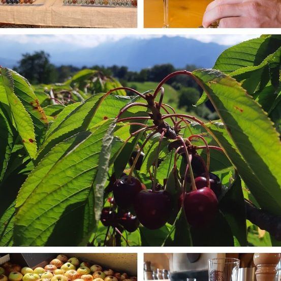 Eine Collage von Bildern, die Früchte wie Kirschen und Äpfel, eine Hand, die ein Glas hält, und eine Aussicht auf einen Berg zeigt.