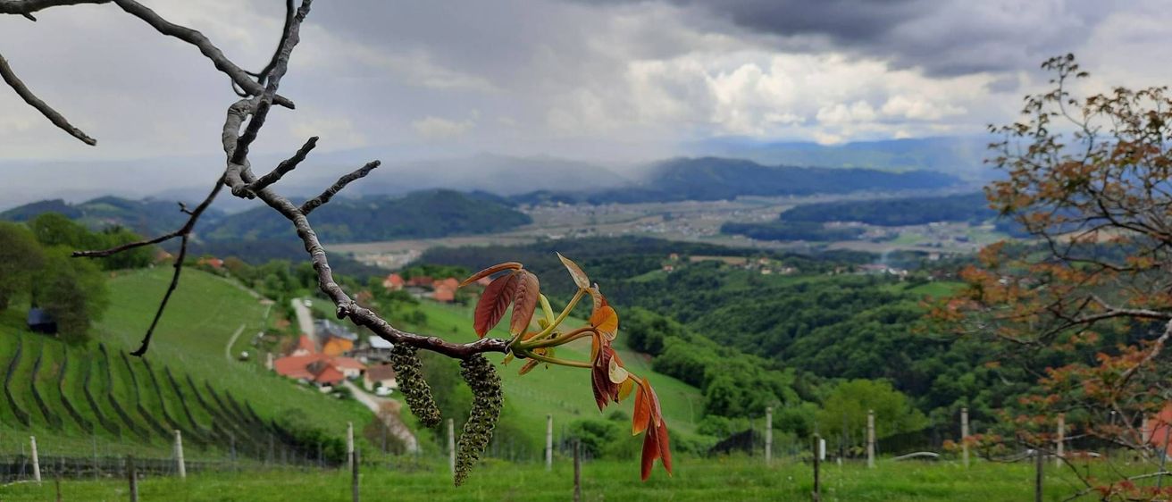 v1_migrated_image_39712556