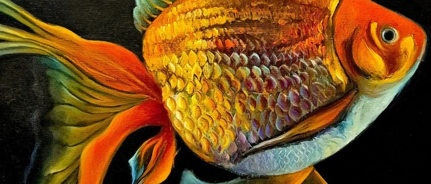 Ein Ausstellungsposter eines Goldfisches mit leuchtenden Farben auf schwarzem Hintergrund. Termine und Details sind auf dem Poster angegeben.