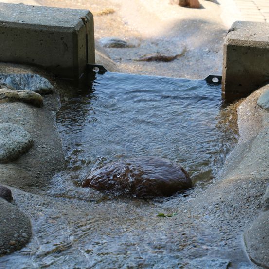 Bild enthält, Slate, Road, Path, Water, Pebble, Creek, Outdoors, Walkway, Rock, Cobblestone