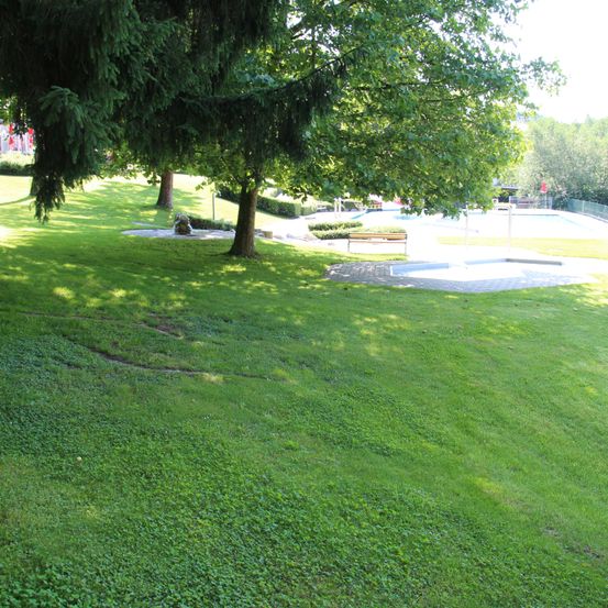 Bild enthält, Grass, Plant, Field, Nature, Outdoors, Park, Lawn, Tree, Garden, Golf Course