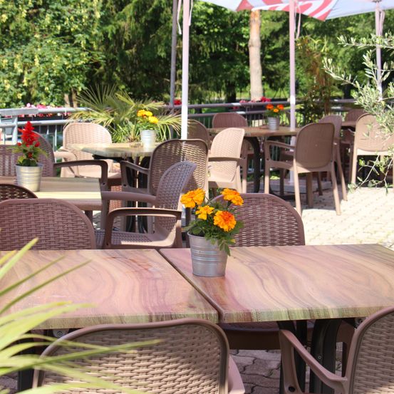 Bild enthält, Dining Table, Table, Restaurant, Plant, Potted Plant, Cafeteria, Flower, Flower Arrangement, Chair, Patio