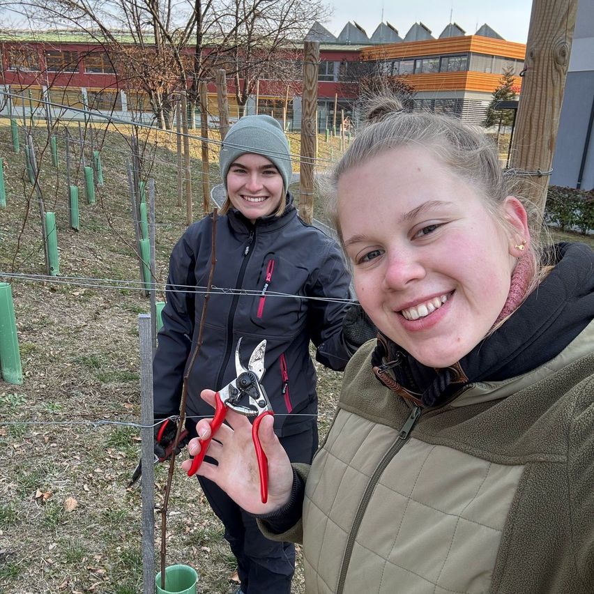 Bild enthält, Face, Photography, Portrait, Coat, Jacket, Tree, Grass, Outdoors, Nature, Park