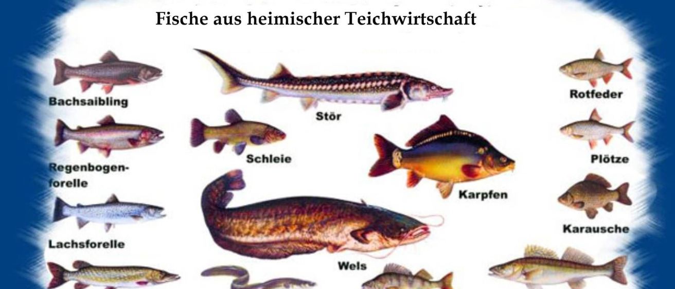 v1_migrated_image_31905484