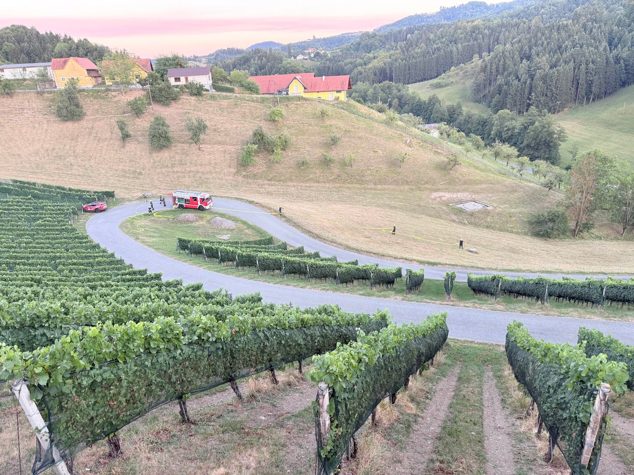 An aerial view of a vineyard with a red fire truck parked on the road, surrounded by green plants and trees. A red car is parked on the left side of the road.