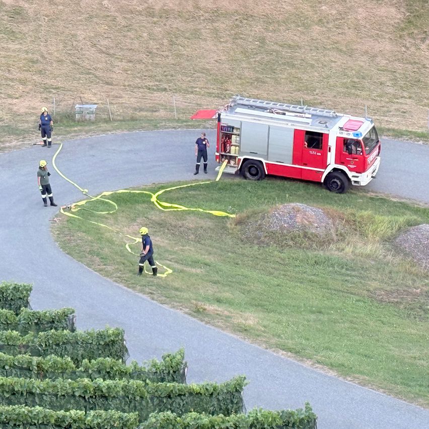 A fire truck is parked on the side of a road with firefighters in yellow and green uniforms. One firefighter is holding a hose, while others are standing nearby. The scene is set in a grassy area with a vineyard in the background.
