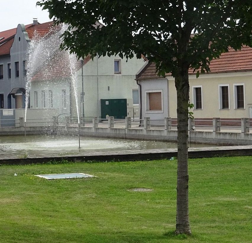 v1_migrated_image_55732928