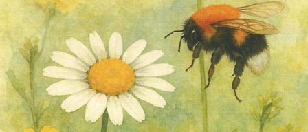 Ein Selbstbestimmungsworkshop mit Kathrin Grobbauer. Datum: 12. Juli 2025, 09:00-15:00. Ort: Weinstraße 1, 7546 Moschendorf. Gebühr: 15€ - Studierende 10€. Kontakt: [email protected]. Unterstützt von Land und Europäischer Union.