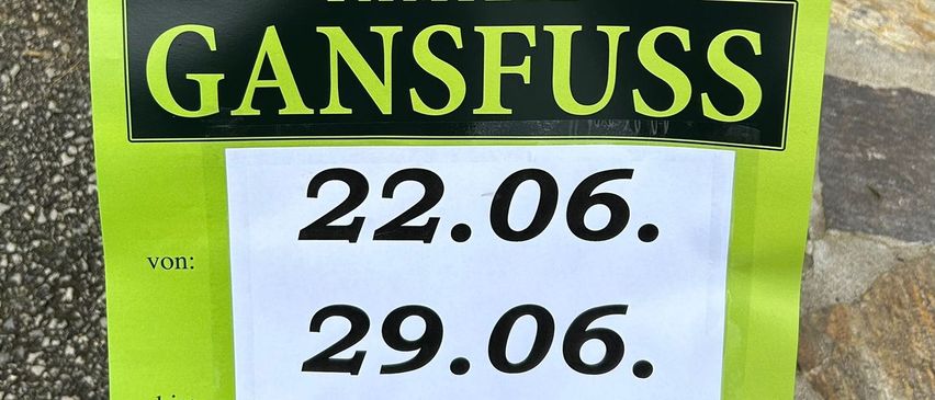 Bild enthält, Advertisement, Potted Plant, Herbal, Poster, Flower, Petal, Jar, Planter, Vegetation, Business Card