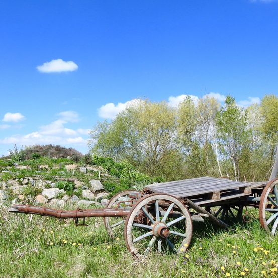 Ein alter hölzerner Wagen mit rostigen Rädern steht auf einem grünen Feld unter einem klaren blauen Himmel mit verstreuten Wolken.