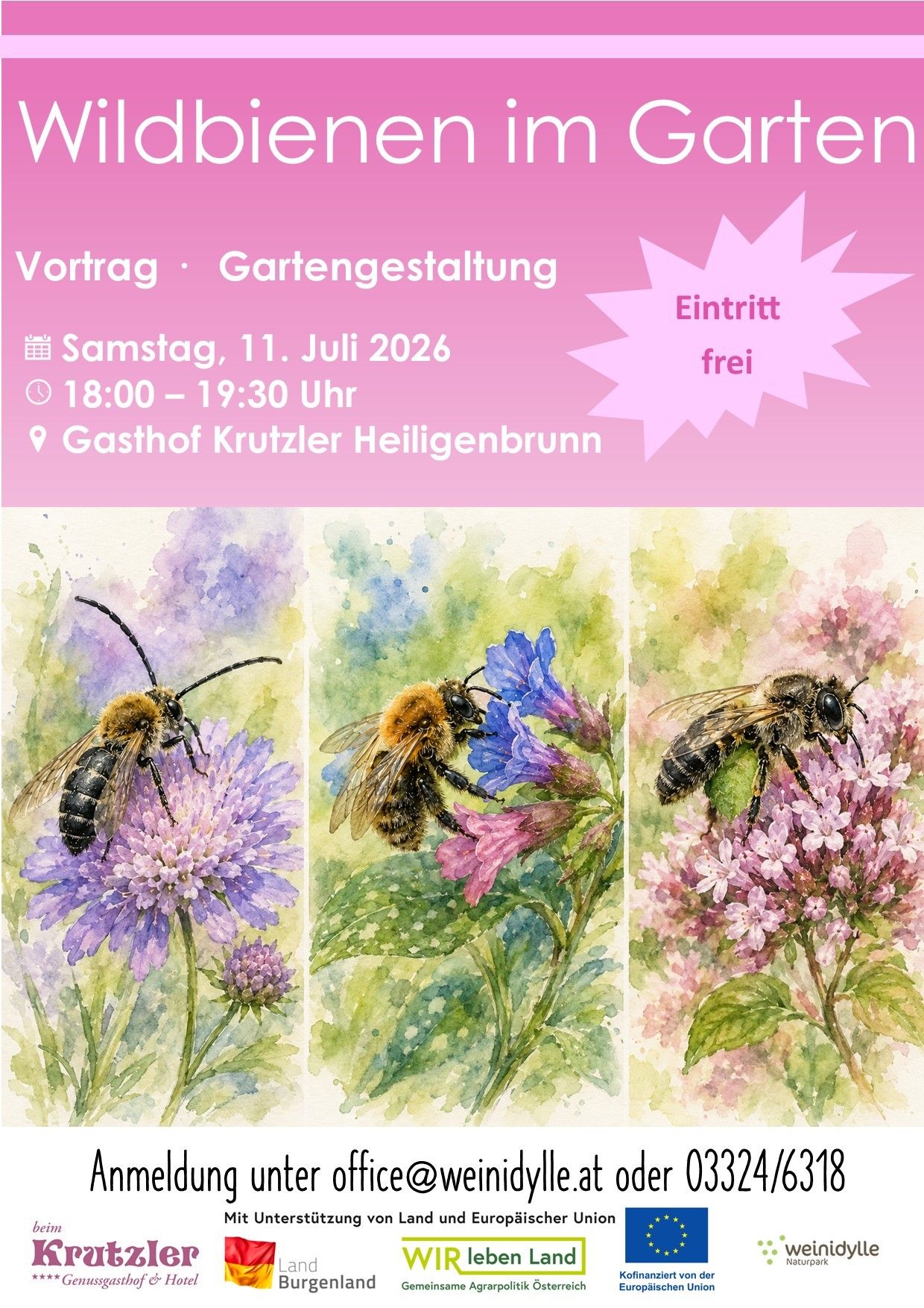 Aquarellillustrationen von Bienen auf Blumen, rosa Hintergrund, Veranstaltungsdetails für den 11. Juli 2026, freier Eintritt.