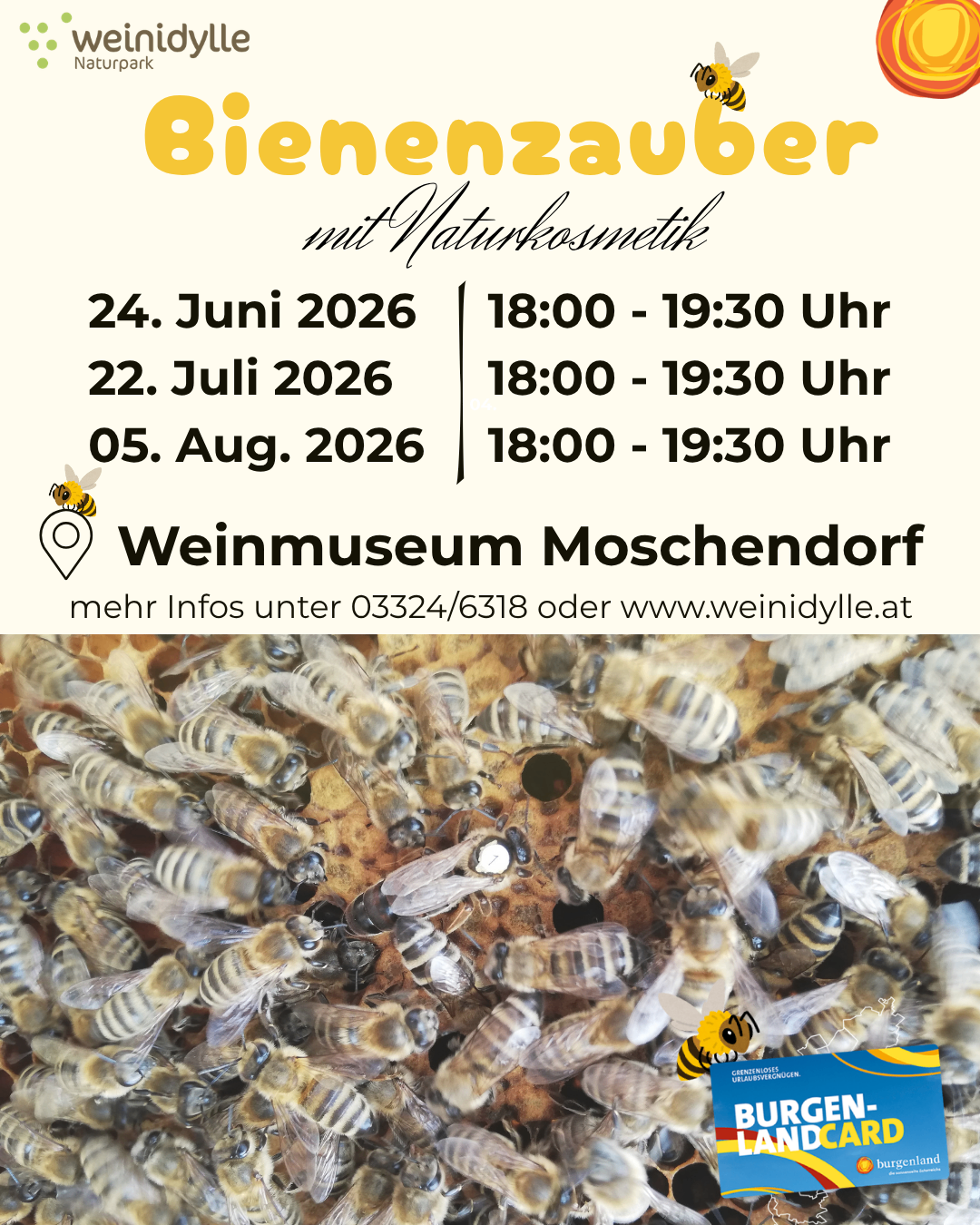 Bienenzauber mit Naturkosmetik. 24. Juni 2026, 18:00-19:30. 22. Juli 2026, 18:00-19:30. 5. August 2026, 18:00-19:30. Weinmuseum Moschendorf. Mehr Infos unter 03324/6318 oder www.weinidylle.at.