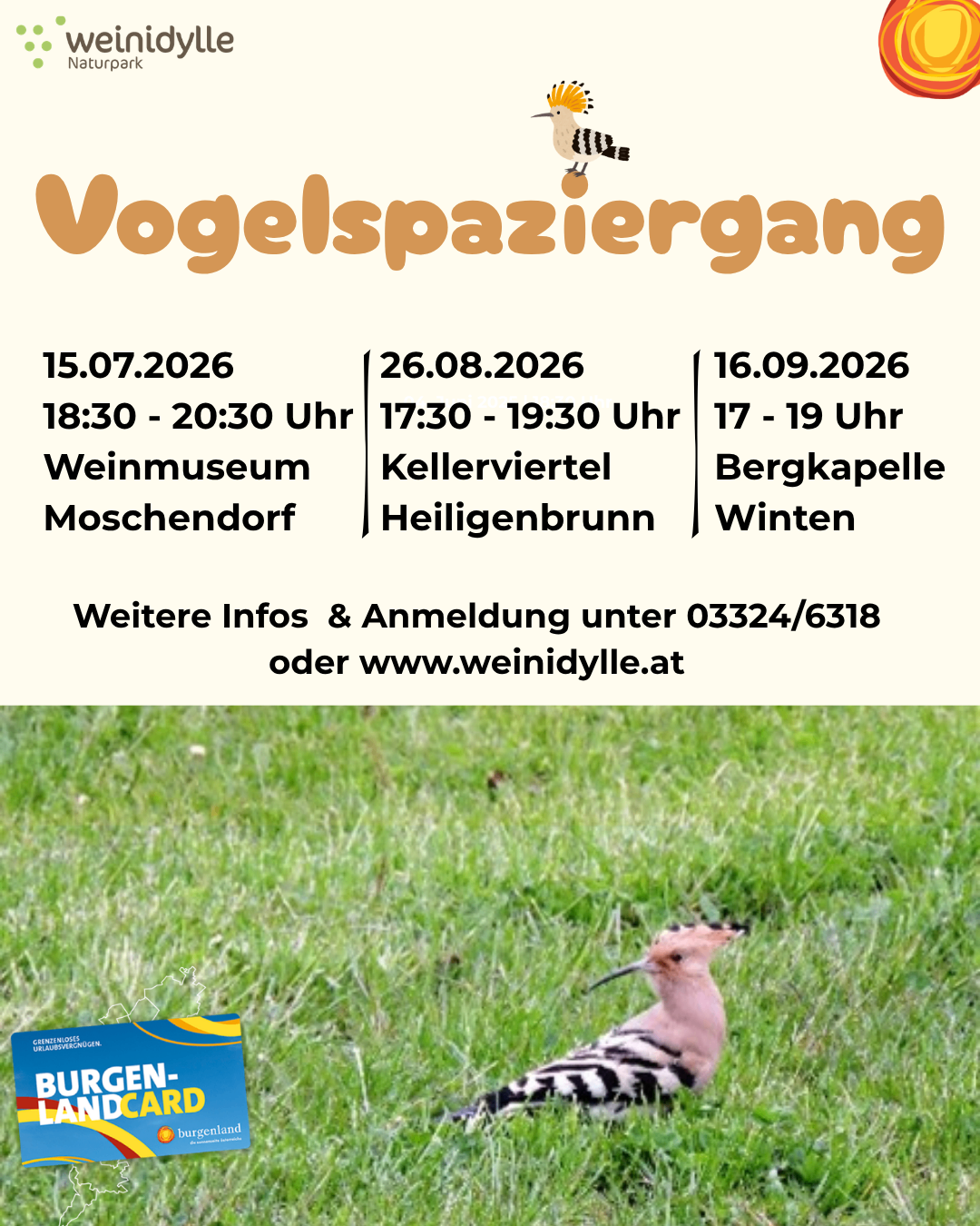 Ein Flyer für Vogelbeobachtungsveranstaltungen in Moschendorf, Heiligenbrunn und Wünten, geplant für den 15. Juli, 26. August und 16. September 2026. Kontaktinformationen für die Anmeldung sind angegeben.