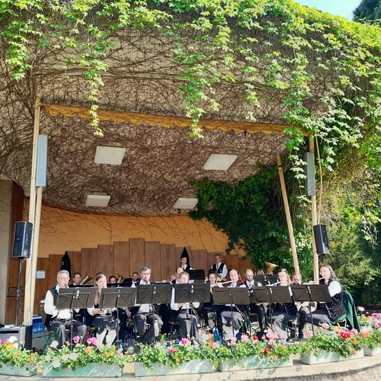 Bild enthält, Potted Plant, Planter, Shelter, Indoors, Interior Design, Porch, Person, People, Concert, Tree