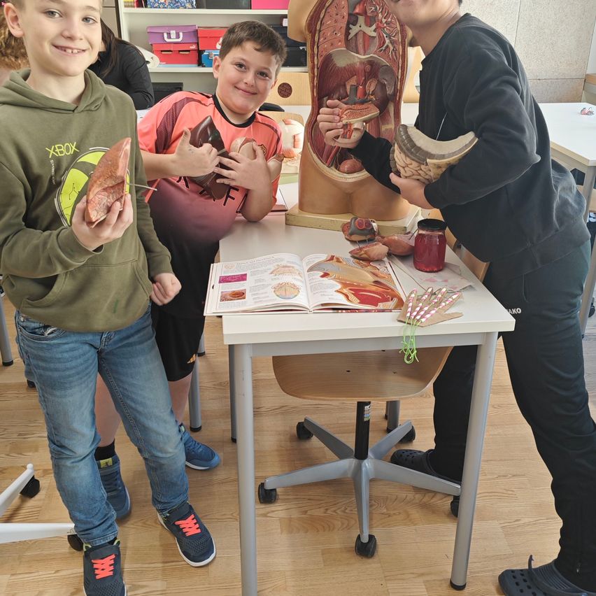Drei junge Jungen stehen in einem Klassenzimmer, jeder hält ein Modell eines menschlichen Organs. Vor ihnen steht ein Tisch mit einem offenen Buch, einem Glas und anderen Gegenständen.