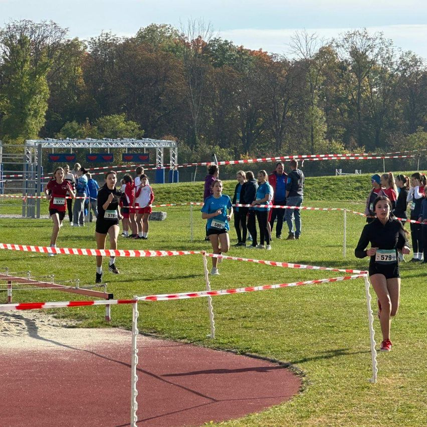 Läufer nehmen an einem Leichtathletikwettbewerb im Freien teil. Barrieren trennen die Bahn von den Zuschauern. Bäume und ein Gebäude sind im Hintergrund.