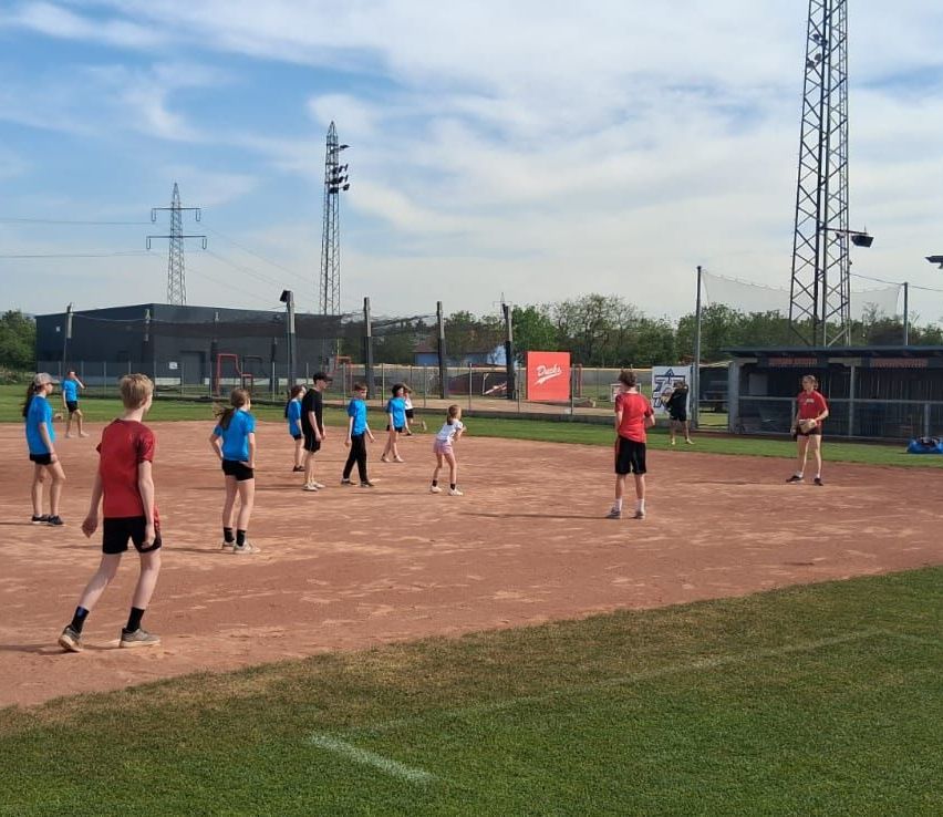 Eine Gruppe junger Menschen spielt ein Spiel auf einem Baseballfeld. Sie tragen rote und blaue Shirts. Das Feld hat ein Erdinfield und ein Grasoutfield. Es gibt Strommasten und einen Zaun hinter ihnen.