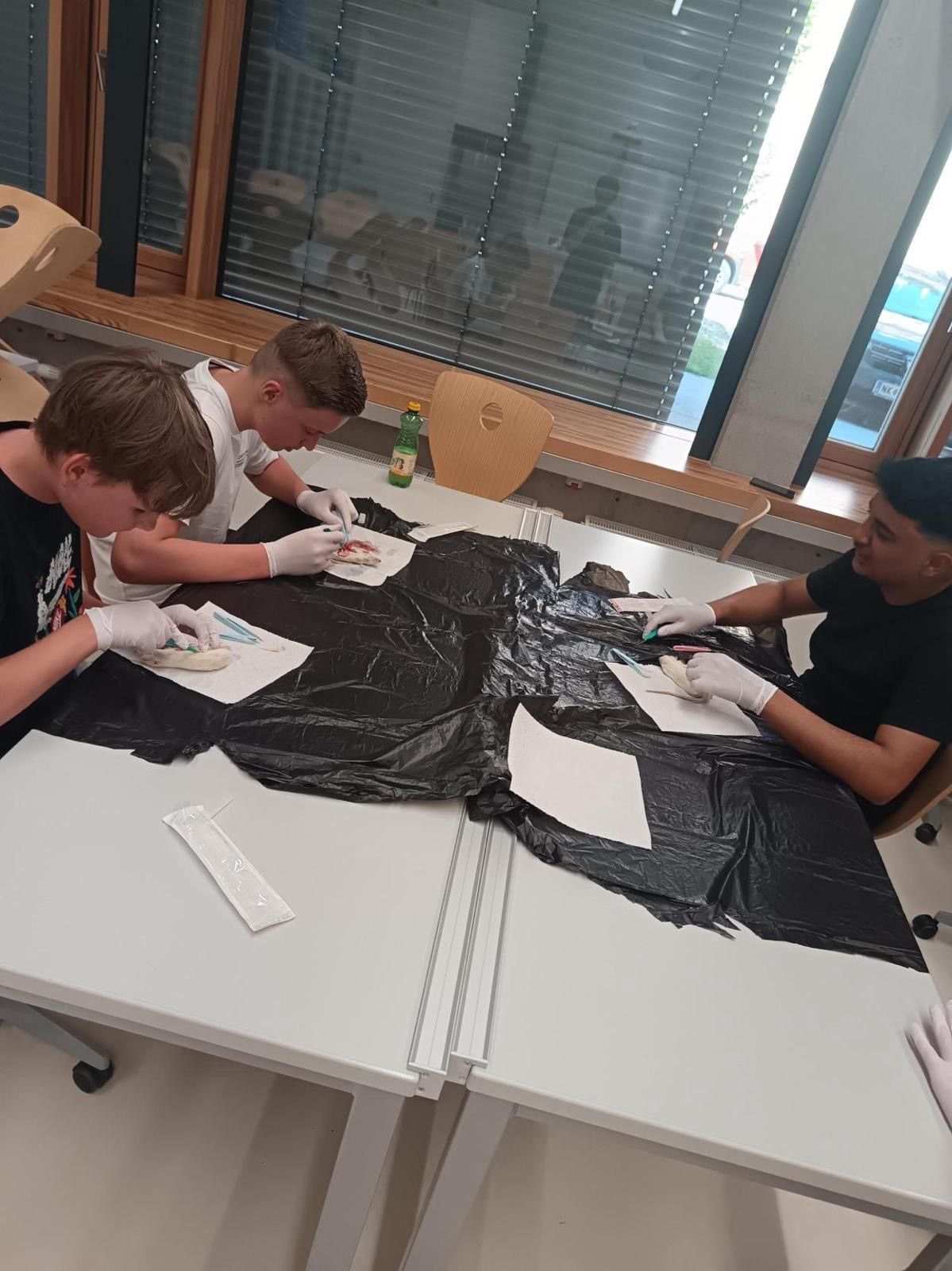 Drei Jungen arbeiten in einer Gruppe an einem Projekt, tragen Handschuhe und untersuchen eine schwarze Plastikfolie.