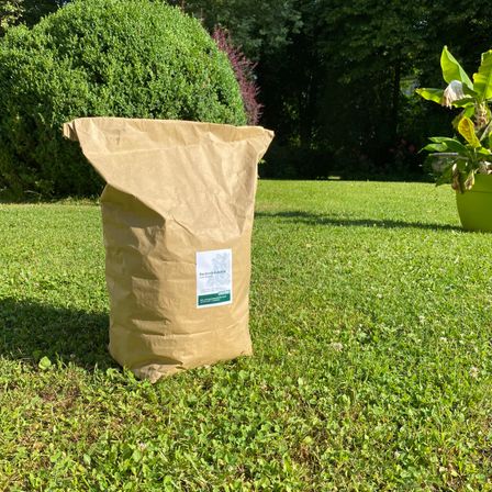 Ein brauner Papiersack liegt auf einem grünen Rasen mit einer Pflanze in einem grünen Topf rechts. Hinter dem Sack befinden sich eine Hecke und Bäume.