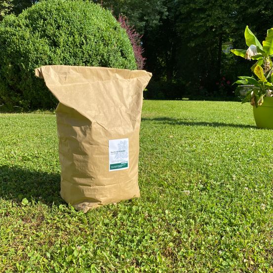 Ein brauner Papiersack liegt auf einem grünen Rasen mit einer Pflanze in einem grünen Topf rechts. Hinter dem Sack befinden sich eine Hecke und Bäume.