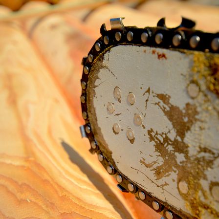 Eine Nahaufnahme einer Kettensägenklinge mit Metallzähnen und Rostflecken auf einer Holzoberfläche.