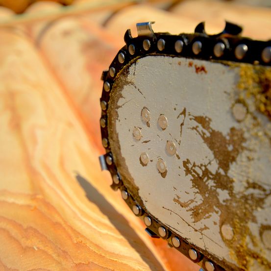 Eine Nahaufnahme einer Kettensägenklinge mit Metallzähnen und Rostflecken auf einer Holzoberfläche.