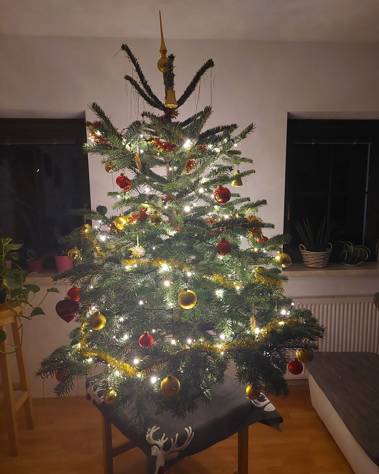 Bild enthält, Christmas, Christmas Decorations, Festival, Christmas Tree, Christmas Tree Ornaments, Plant