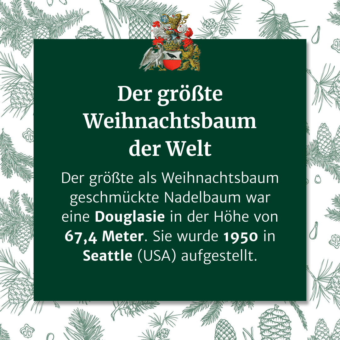 Bild enthält, Herbal, Tree, Advertisement, Vegetation, Poster, Conifer, Leaf, Text, Greeting Card, Bird