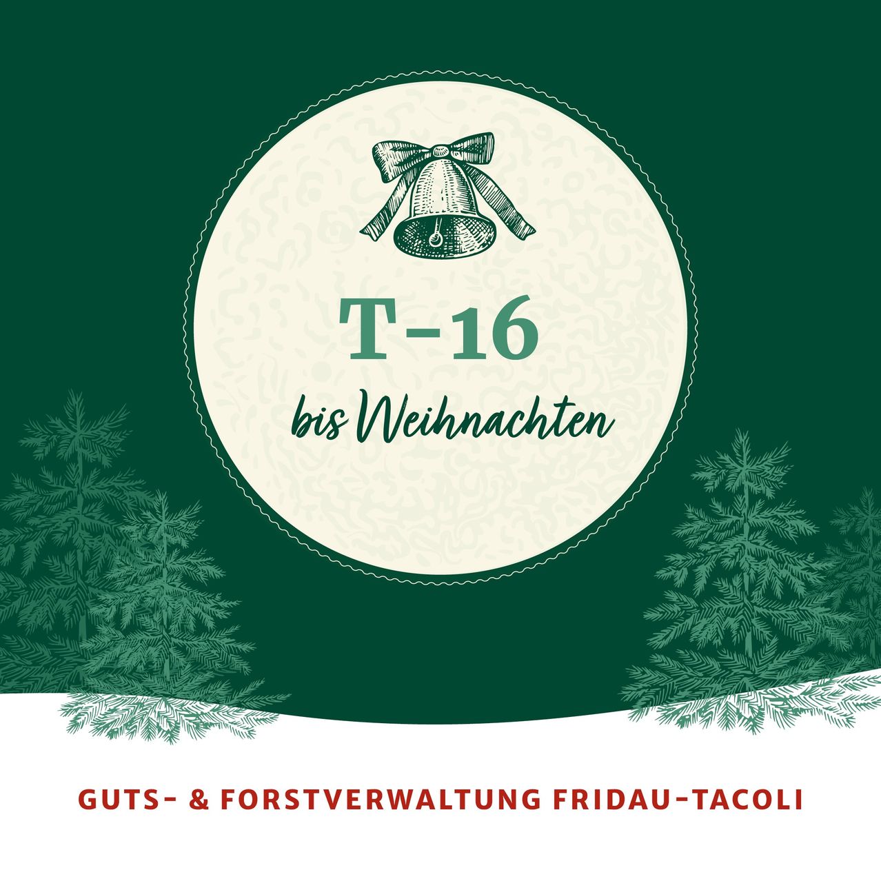 Bild enthält, Pine, Plant, Tree, Vegetation, Herbal, Herbs, Outdoors