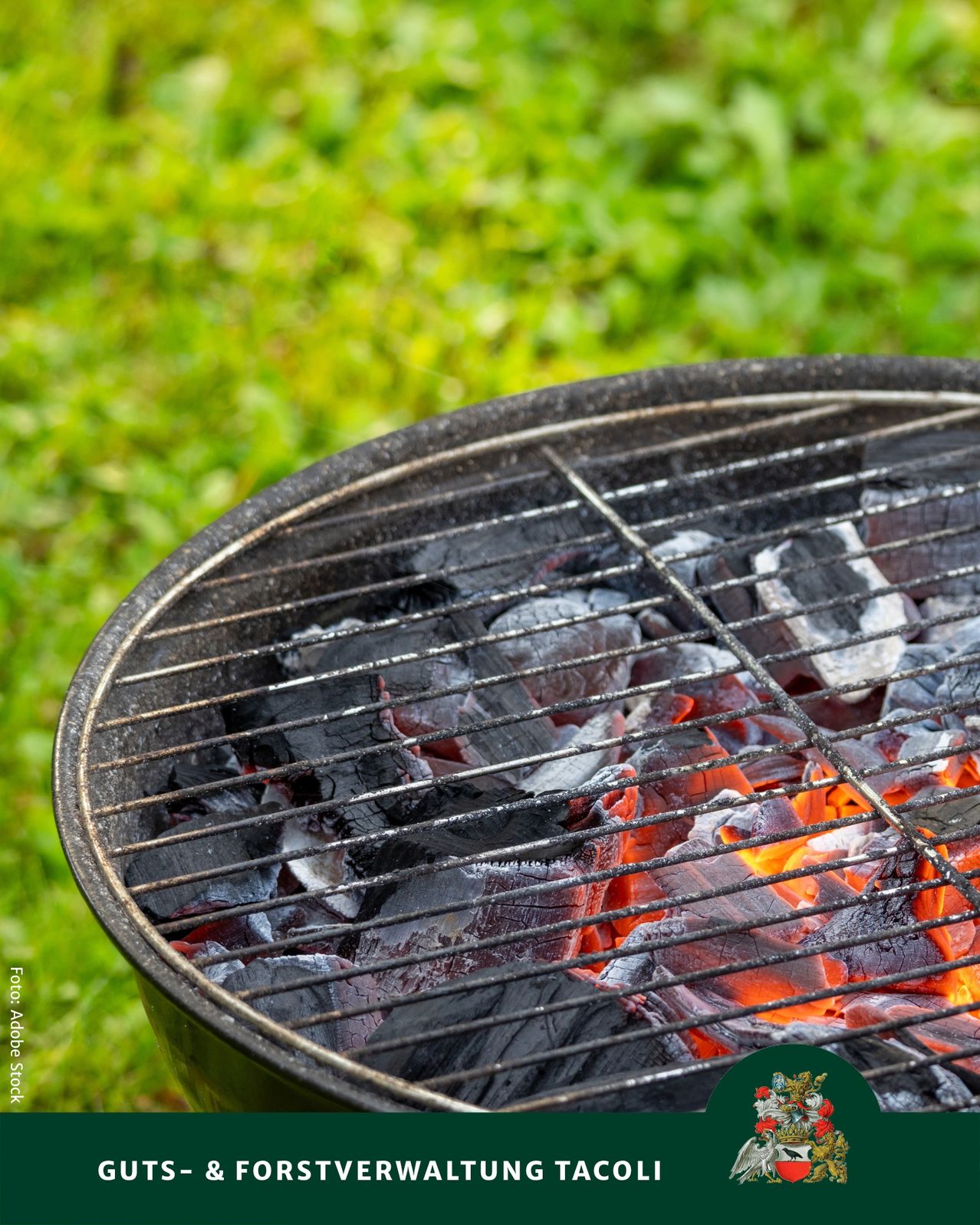 Ein Grillkorb gefüllt mit Kohle und glühenden Glutstücken, bereit zum Kochen, vor einem Hintergrund aus grünem Gras.