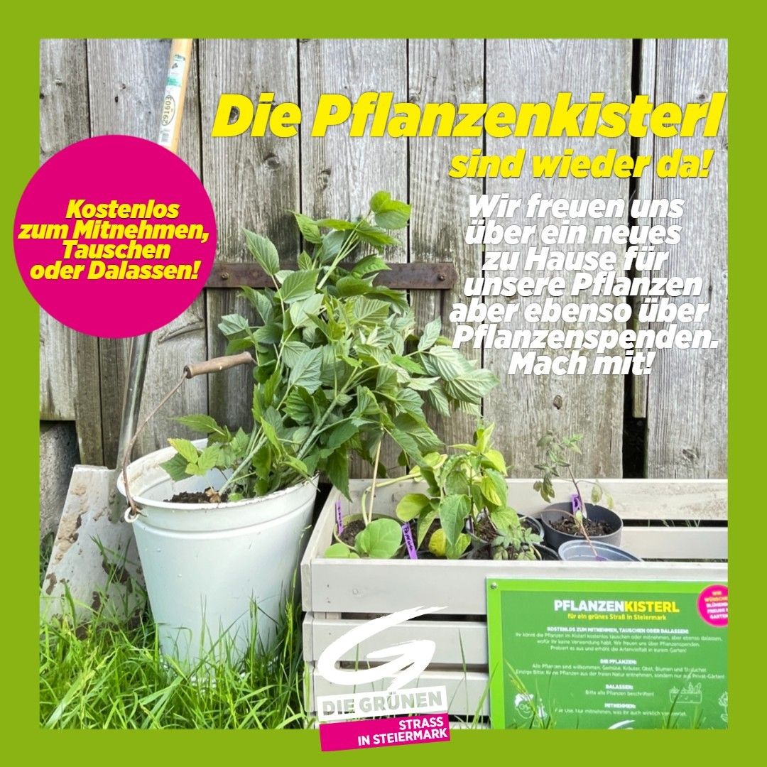 Ein Poster mit Pflanzen in einem weißen Eimer und einer Holzkiste. Eine Schaufel lehnt an einem Holzzaun. Der Text lautet 'Die Pflanzenkisterl sind wieder da!'. Ein grünes Schild mit weißem Text ist sichtbar.