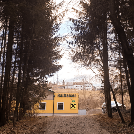 Bild enthält, Tree, Fir, Outdoors, Shelter, Tree Trunk, Car, Vegetation, Road, Nature, Gravel