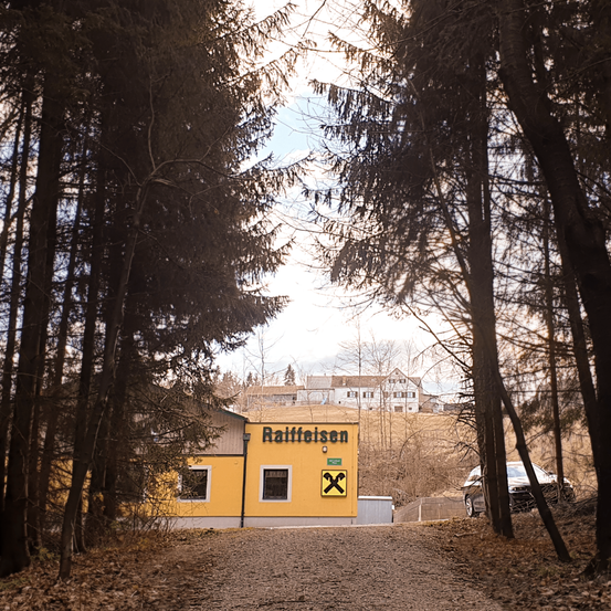Bild enthält, Tree, Fir, Outdoors, Shelter, Tree Trunk, Car, Vegetation, Road, Nature, Gravel
