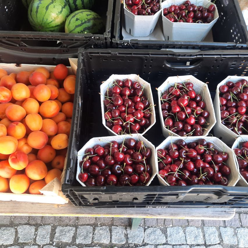 Mehrere Obstkisten stehen auf einem Tisch. Es gibt Kirschen in weißen Papierbehältern, Wassermelonen in schwarzen Kisten und Aprikosen in einer Holzkiste.
