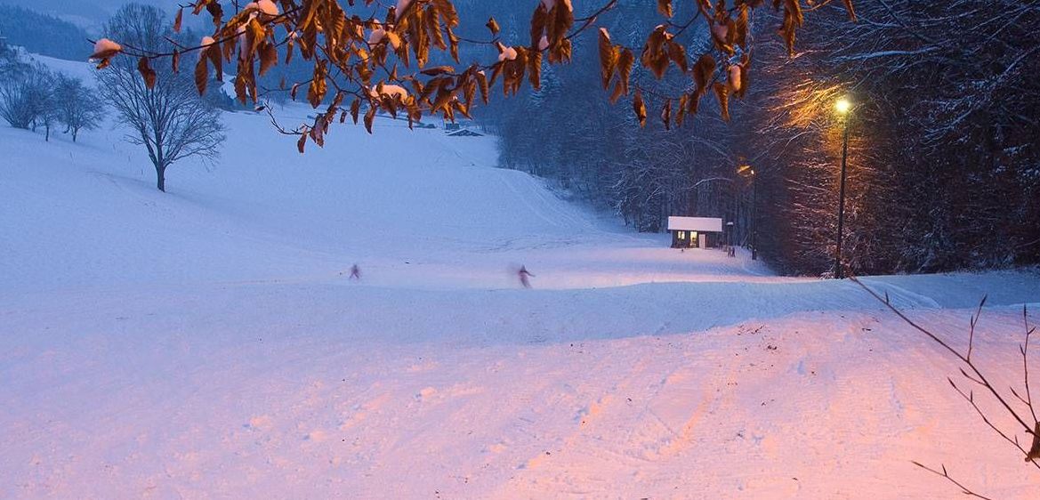 v1_migrated_image_41197130